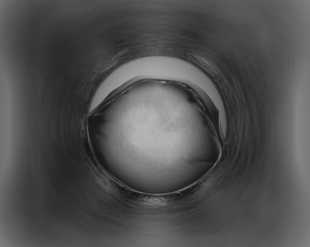 X0000086900409200705071247