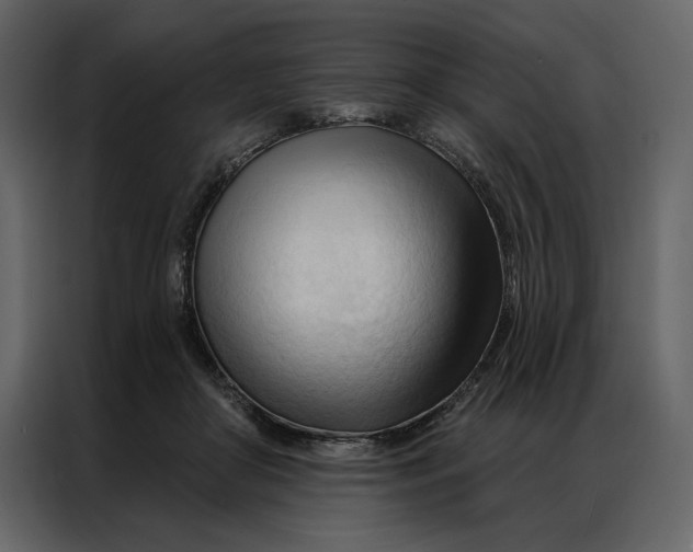 X0000086900410200705071247