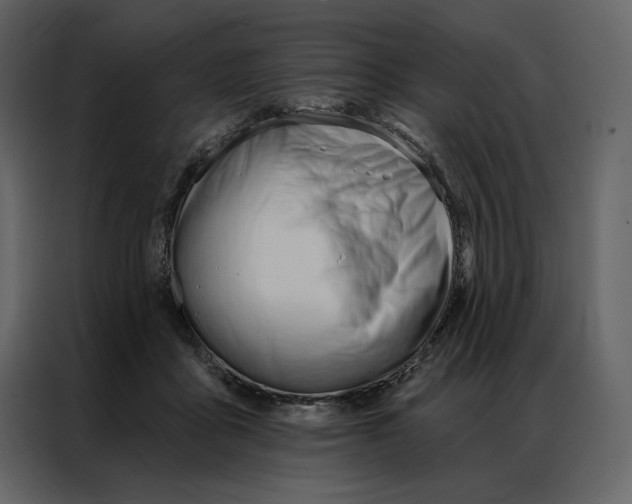 X0000086900411200705071247