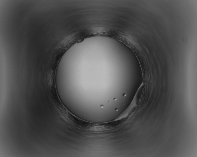 X0000086900413200705071247