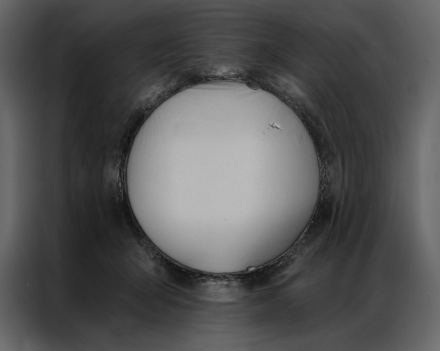 X0000086900415200705071247