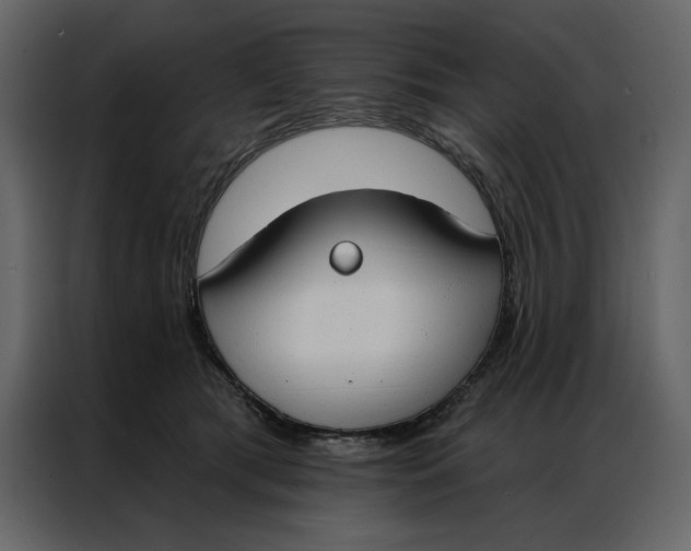 X0000086900417200705071247