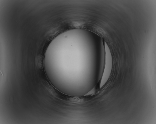 X0000086900421200705071247