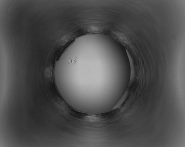 X0000086900425200705071247