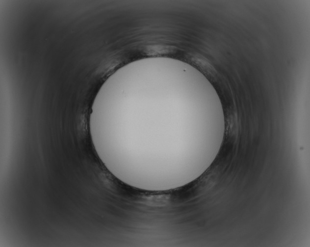 X0000086900426200705071247