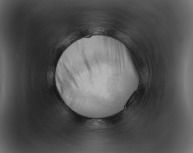 X0000086900427200705071247