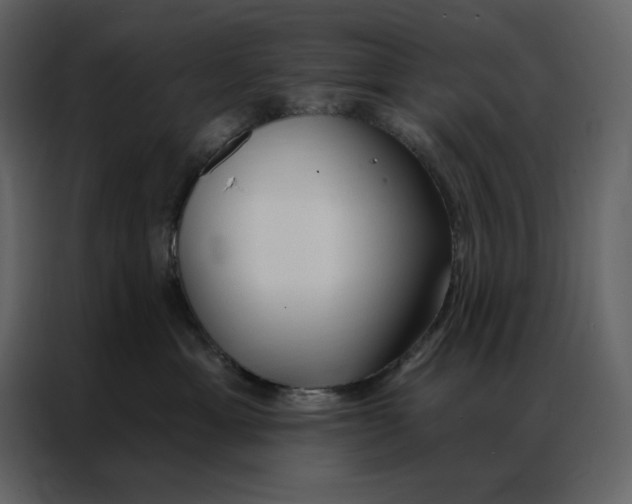 X0000086900429200705071247