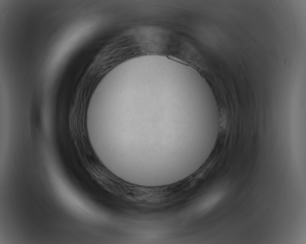 X0000086900431200705071247