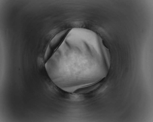 X0000086900432200705071247