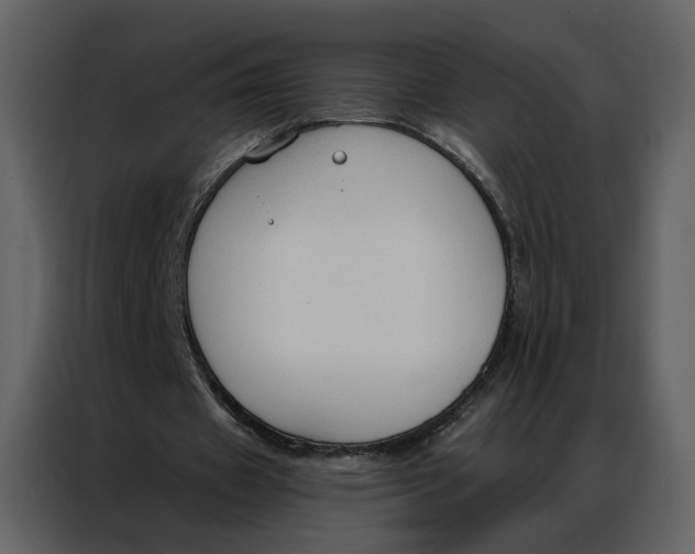 X0000086900433200705071246