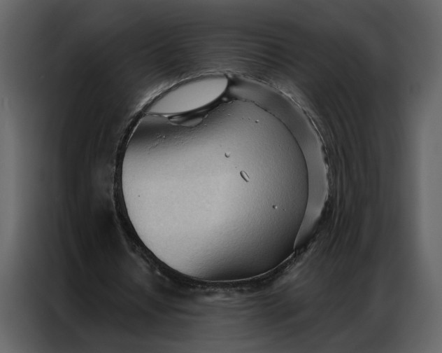 X0000086900434200705071246