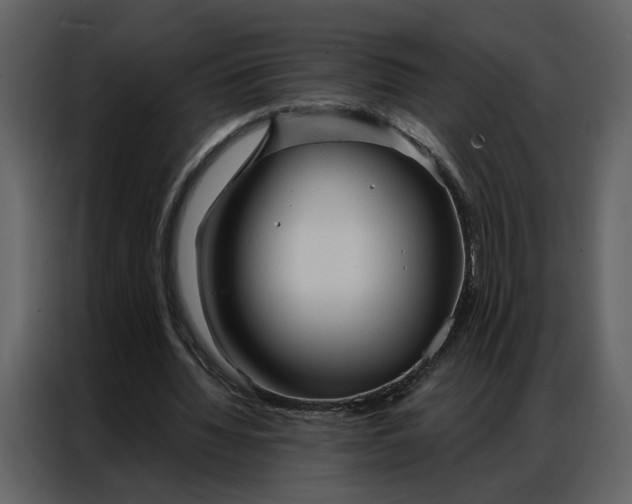 X0000086900436200705071246