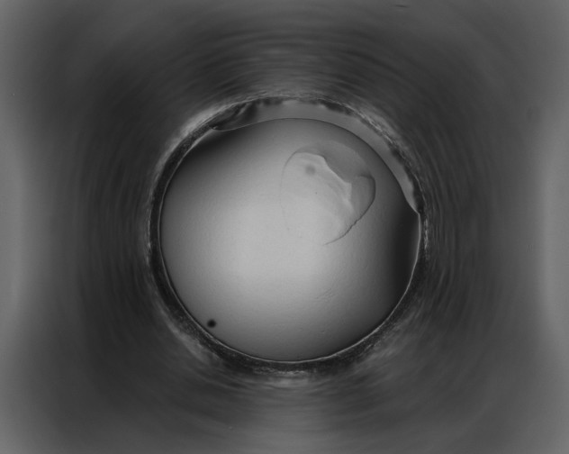 X0000086900438200705071247