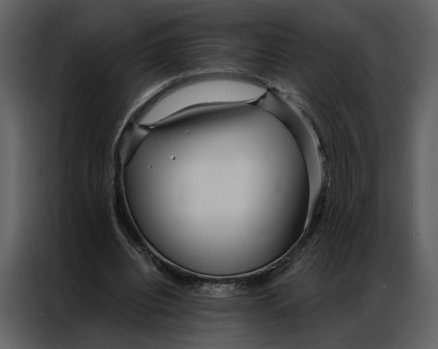 X0000086900440200705071247