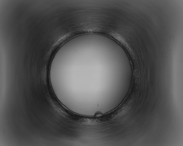 X0000086900442200705071247