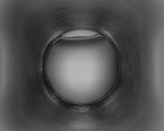 X0000086900443200705071247