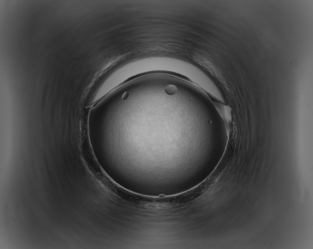 X0000086900444200705071247