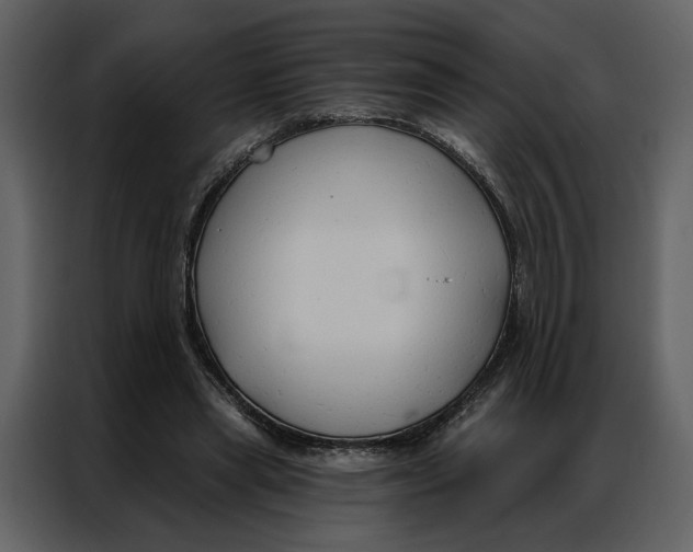 X0000086900445200705071247