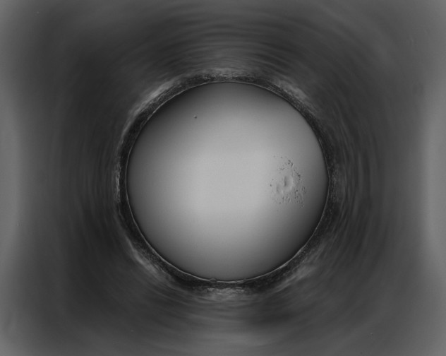 X0000086900446200705071247