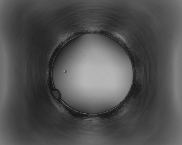 X0000086900447200705071247