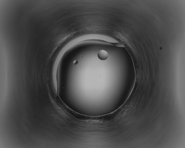 X0000086900448200705071247