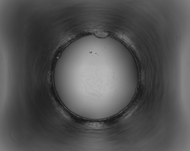 X0000086900449200705071247