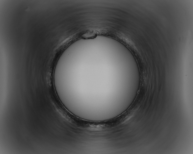 X0000086900450200705071247