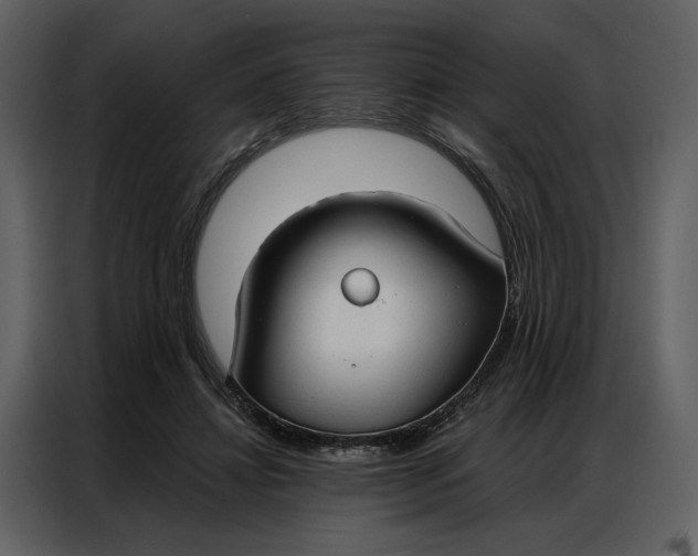 X0000086900452200705071247