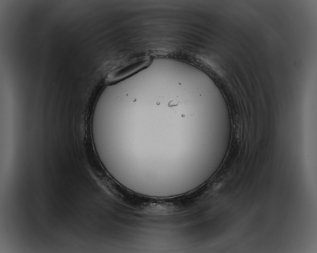 X0000086900455200705071247