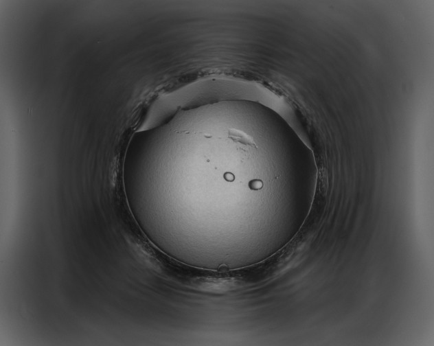 X0000086900458200705071247