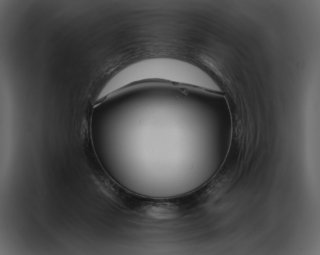 X0000086900459200705071247