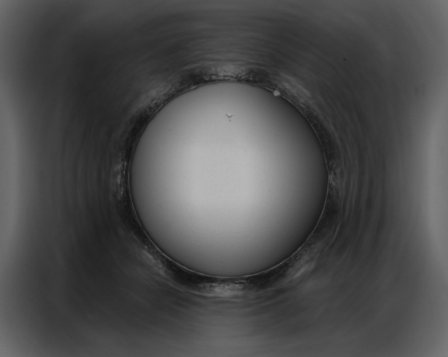 X0000086900462200705071247