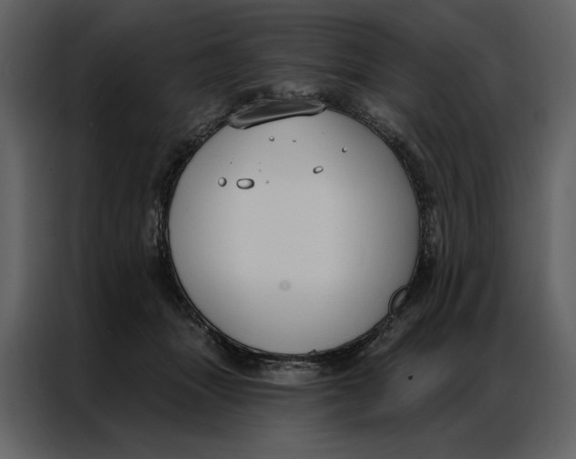 X0000086900463200705071247