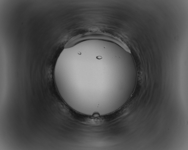 X0000086900466200705071247