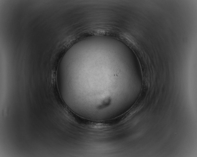 X0000086900467200705071247