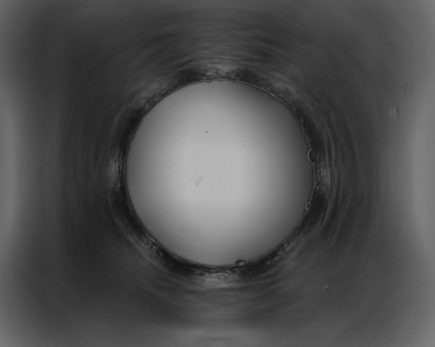 X0000086900468200705071247