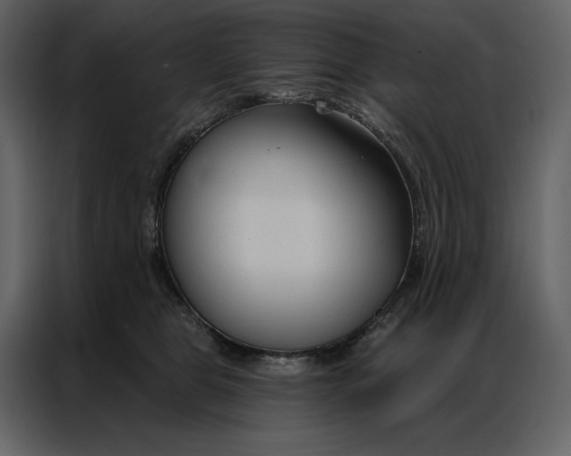 X0000086900469200705071247