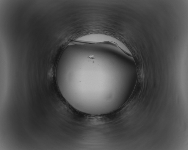 X0000086900472200705071247