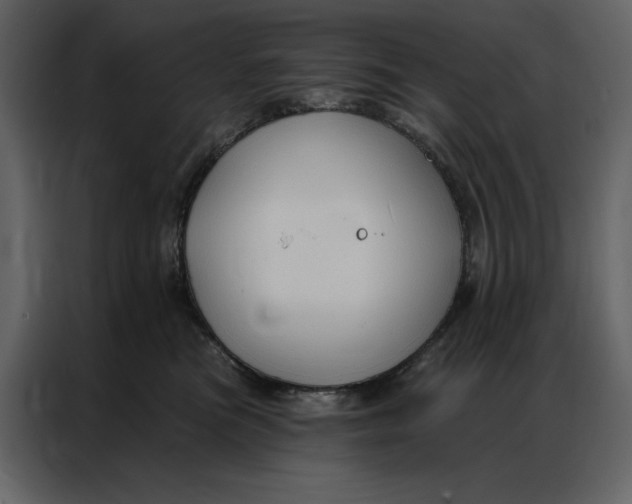 X0000086900473200705071247