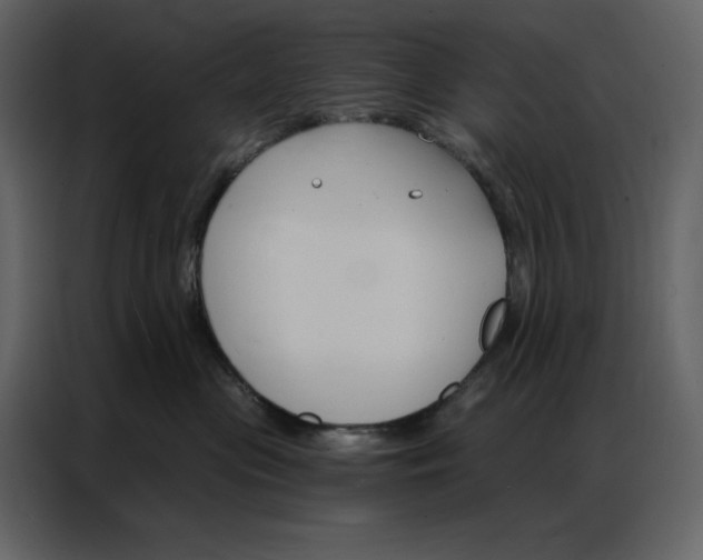 X0000086900477200705071247