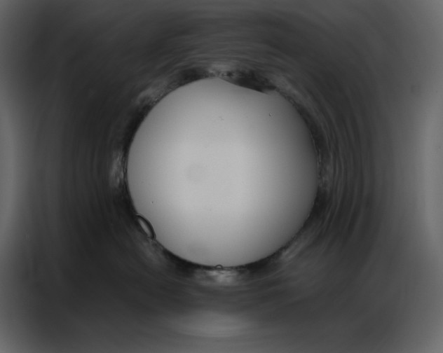 X0000086900478200705071247