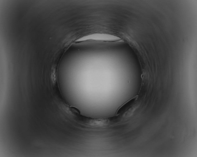 X0000086900479200705071247