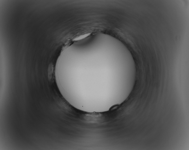 X0000086900480200705071247