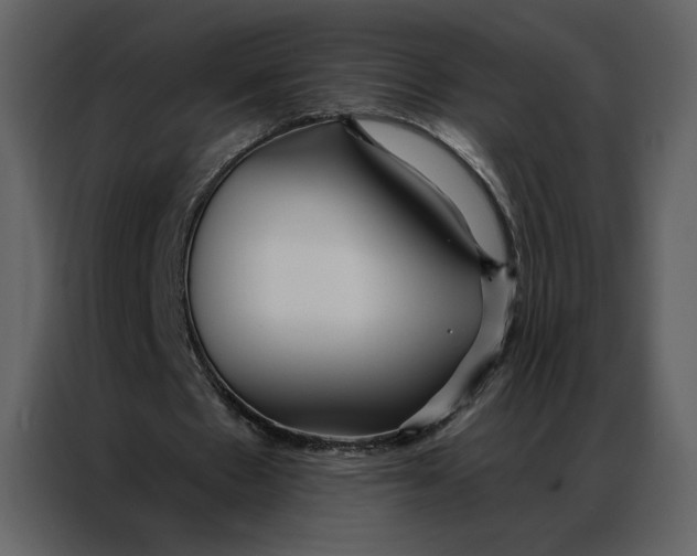 X0000086900481200705071246