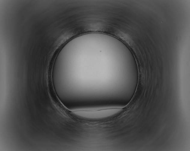 X0000086900482200705071246