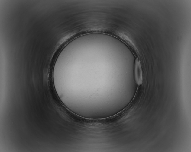 X0000086900483200705071246