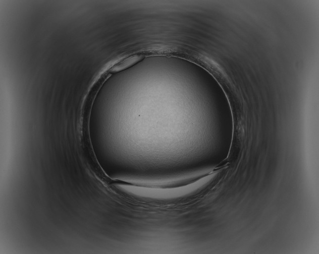 X0000086900484200705071246