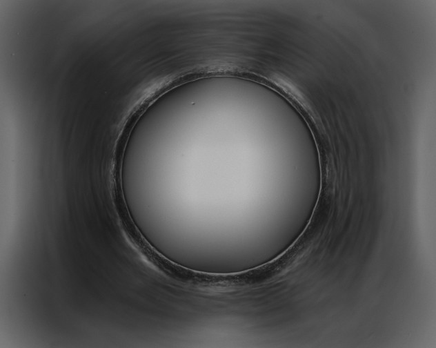 X0000086900485200705071246