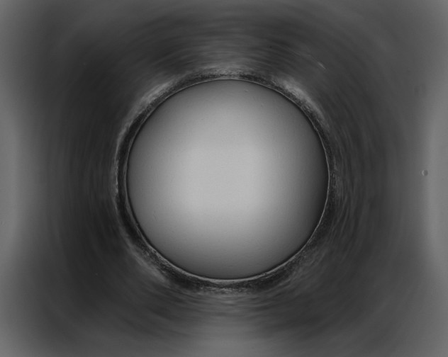 X0000086900486200705071246