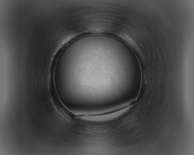 X0000086900488200705071246